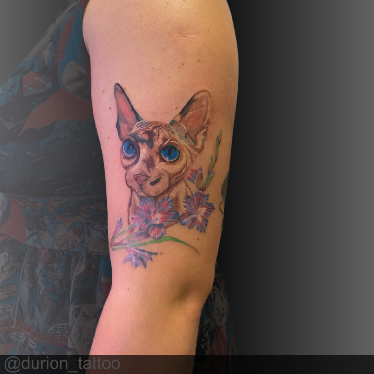 sphynx cat color tattoo